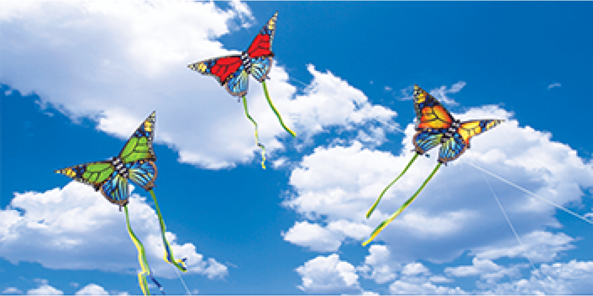 butterflykites.png